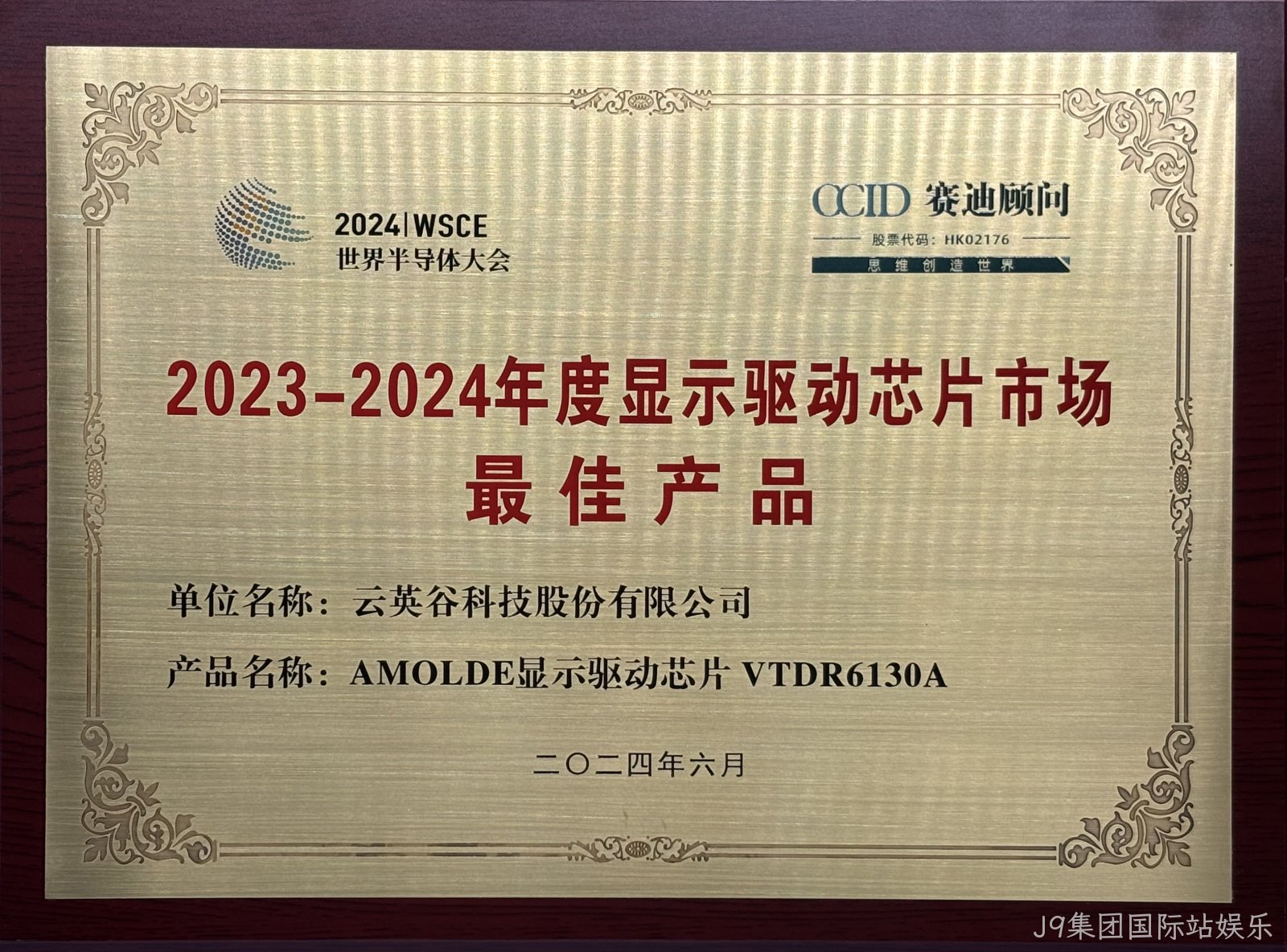 2023-2024年度显示驱动芯片市场最佳产品.jpg
